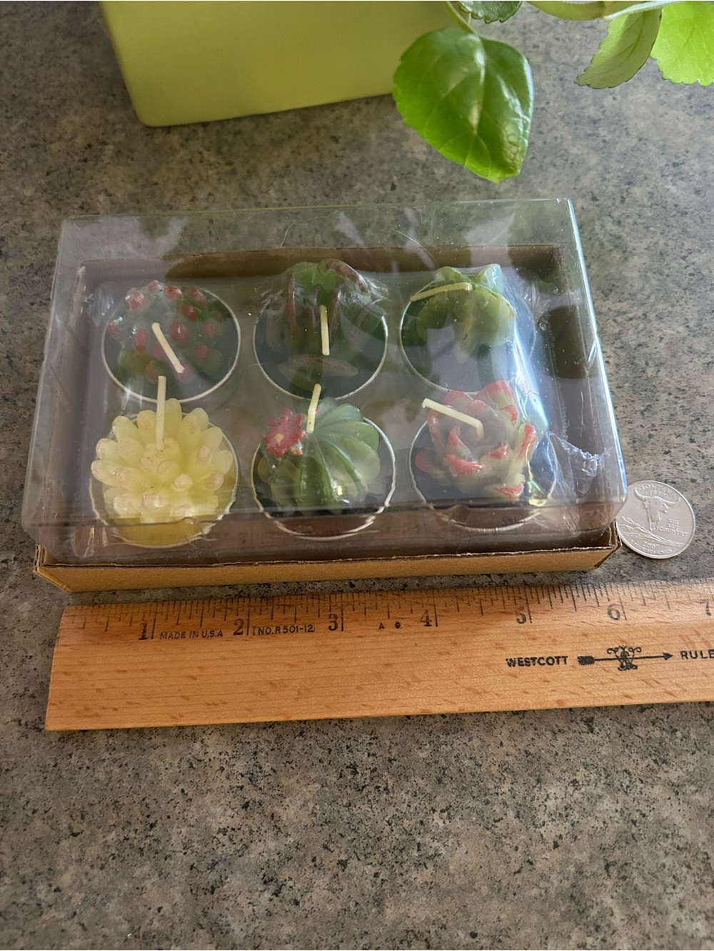 🕯️ Cactus Tealight Candles, Set of 6, Western Decor